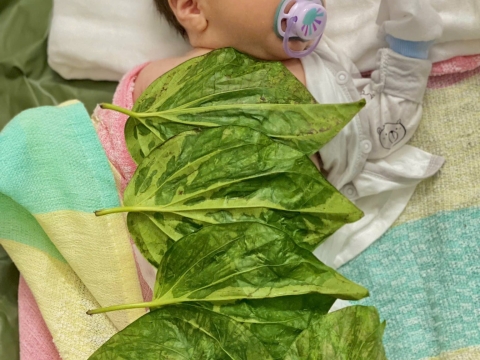 Album của bé tại An Nghi Home 