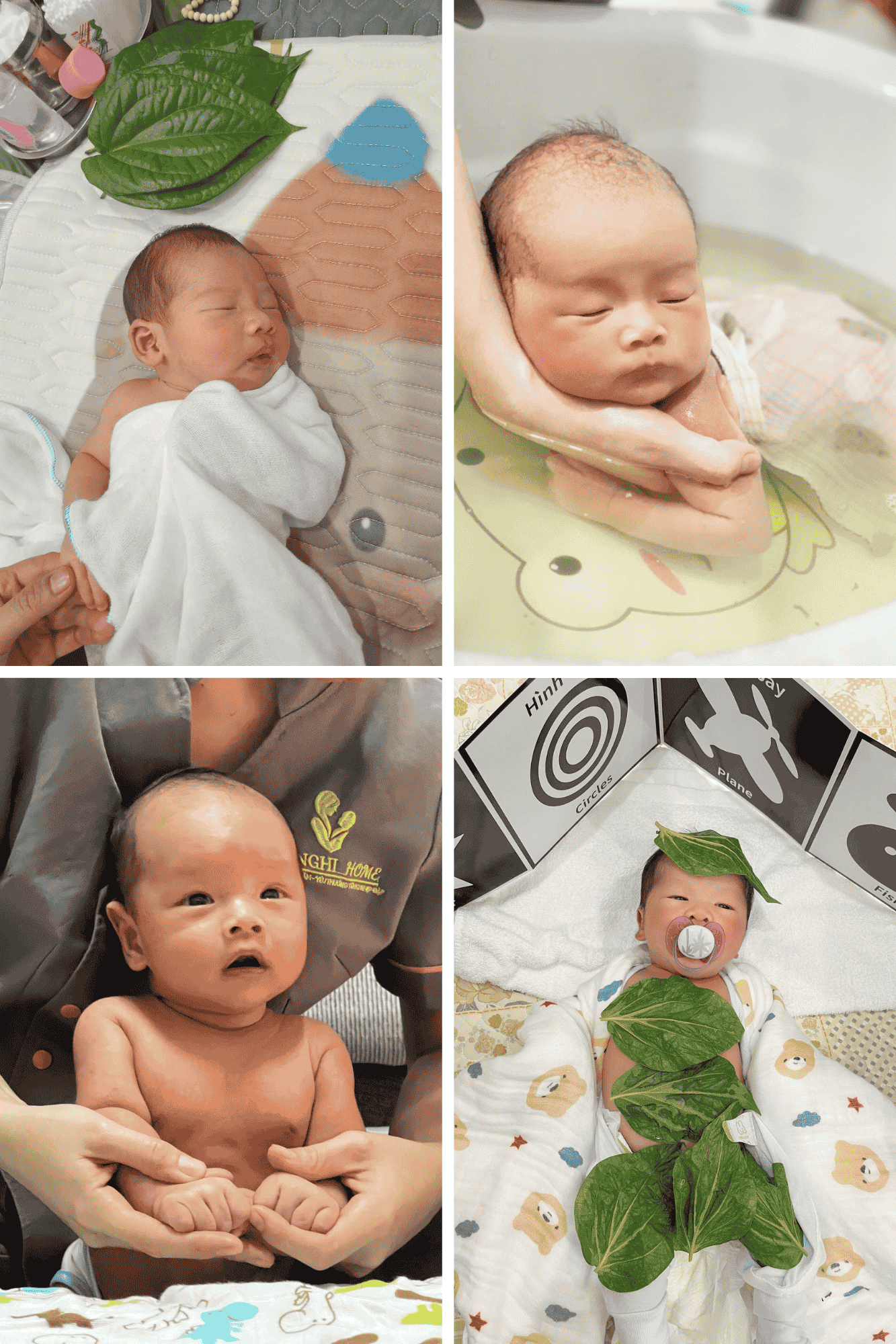 DỊCH VỤ CHO BÉ